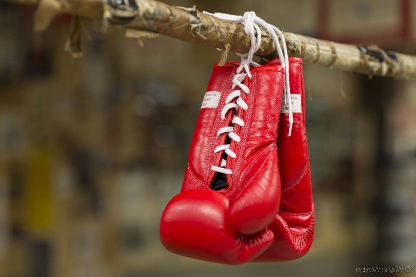 red boxing gloves free download