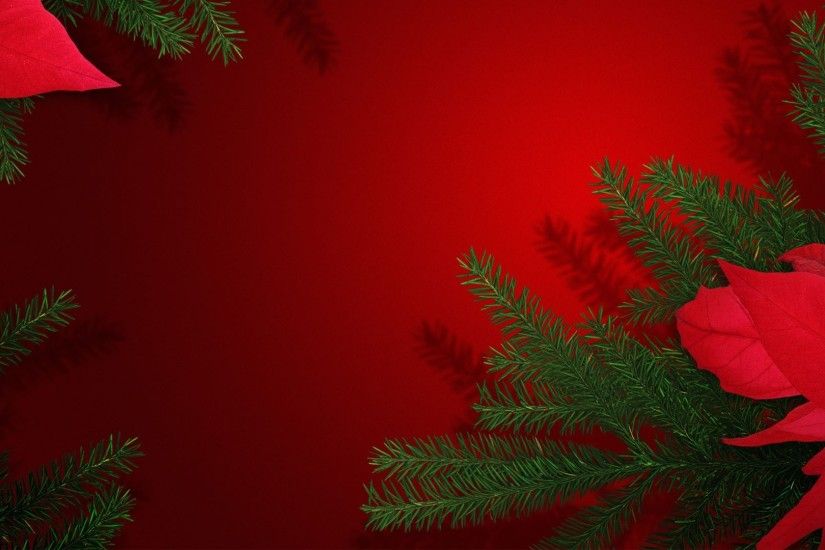 ... Christmas Poinsettias Backgrounds – Happy Holidays!