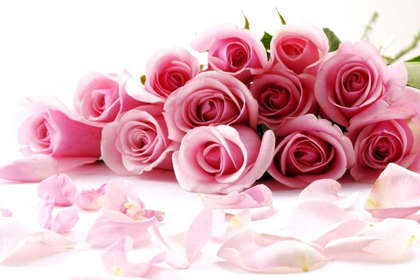 Rose Flower Wallpaper | High Quality Wallpapers,Wallpaper Desktop .