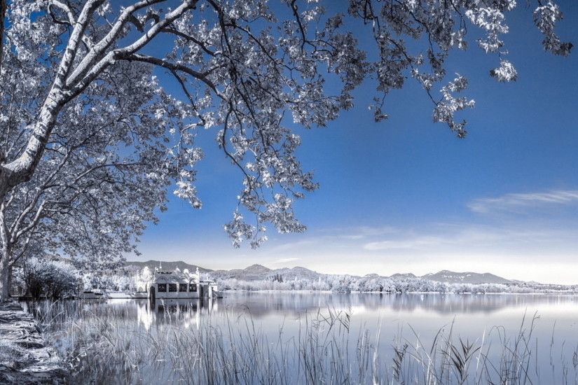 Winter-Background-Landscape