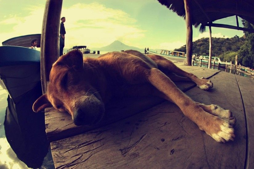 dog dog sleeping is landscape boat people guatemala