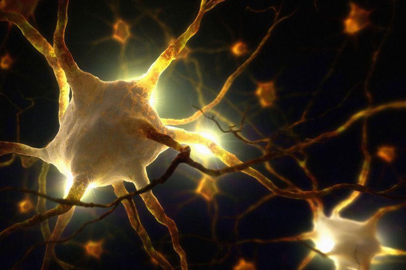 ... neuron wallpaper | Brain Neurons HD wallpaper | Neuroscience .