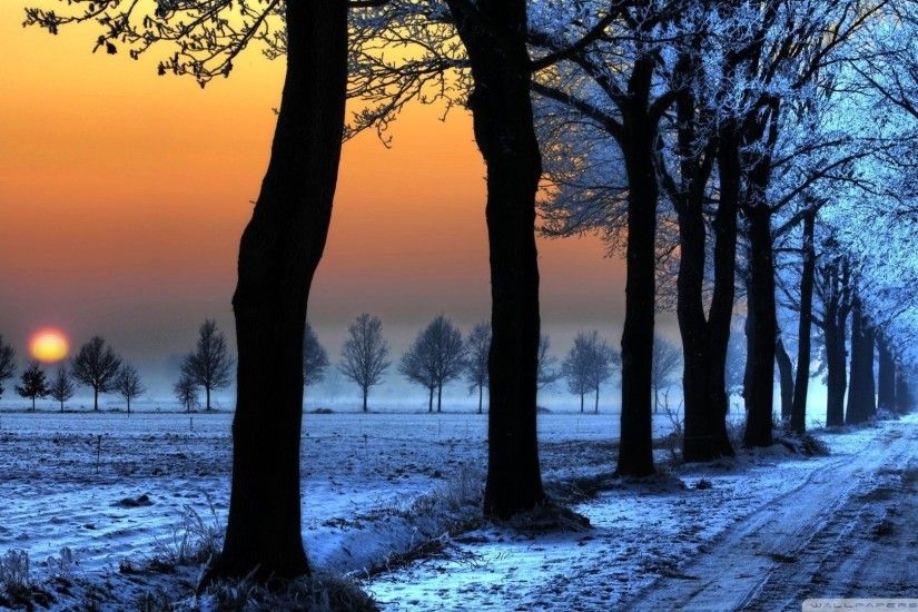 Winter Snow Sunset