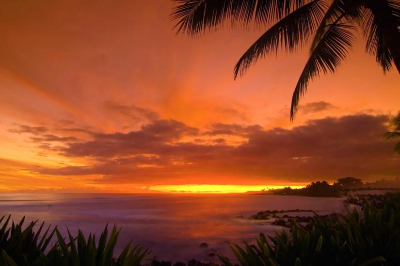 Hawaii Sunset wallpapers HD free - 262130