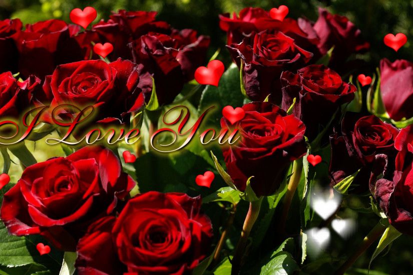 Rose I Love You Gif