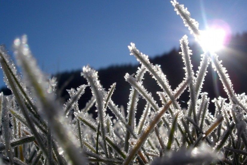 3840x2160 Wallpaper grass, frost, snow, white, frozen