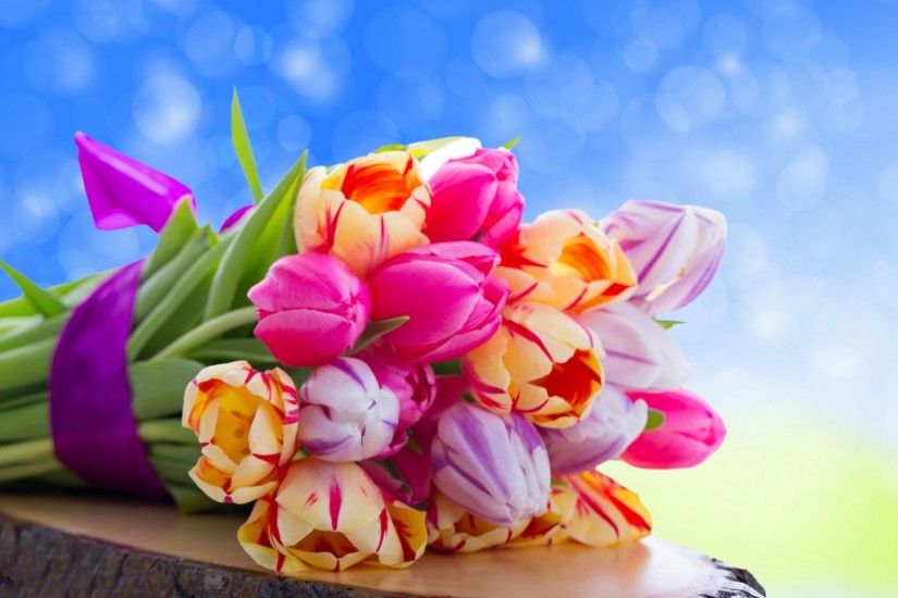 Pretty Colorful Flowers Wallpaper