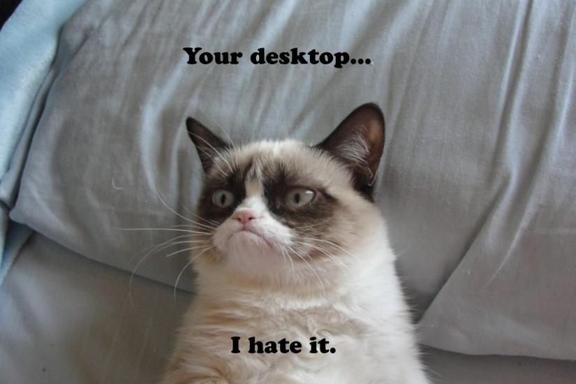 ... 4 Grumpy Cat HD Wallpapers | Backgrounds - Wallpaper Abyss ...