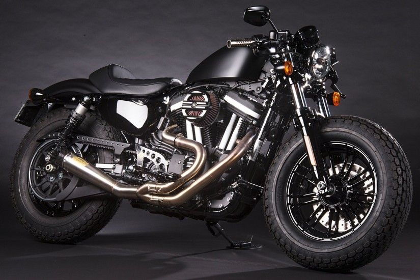 The Punisher Forty-Eight Sportster