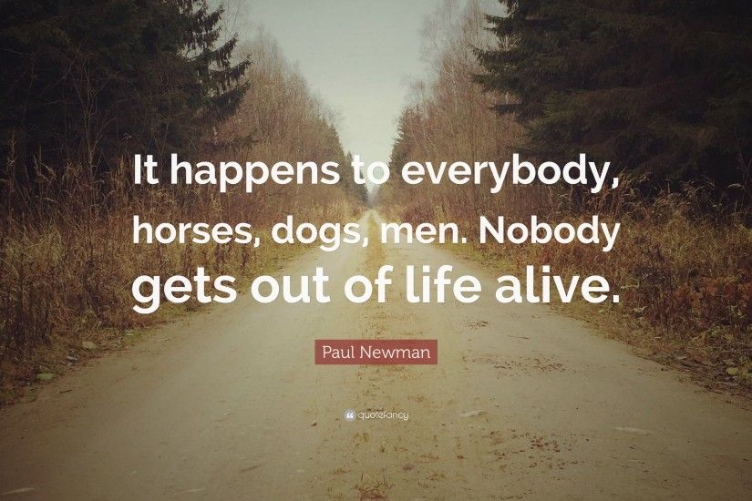 Paul Newman Quote: “It happens to everybody, horses, dogs, men.