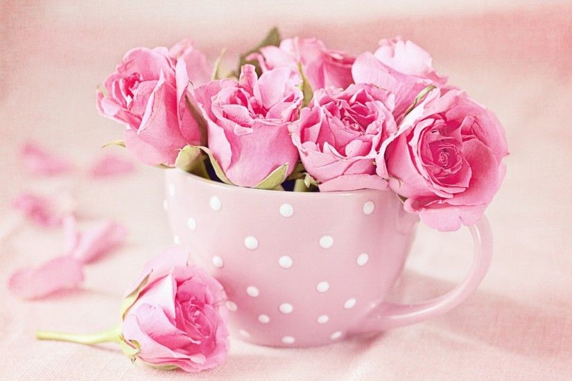 Pink Roses Wallpapers ·① WallpaperTag