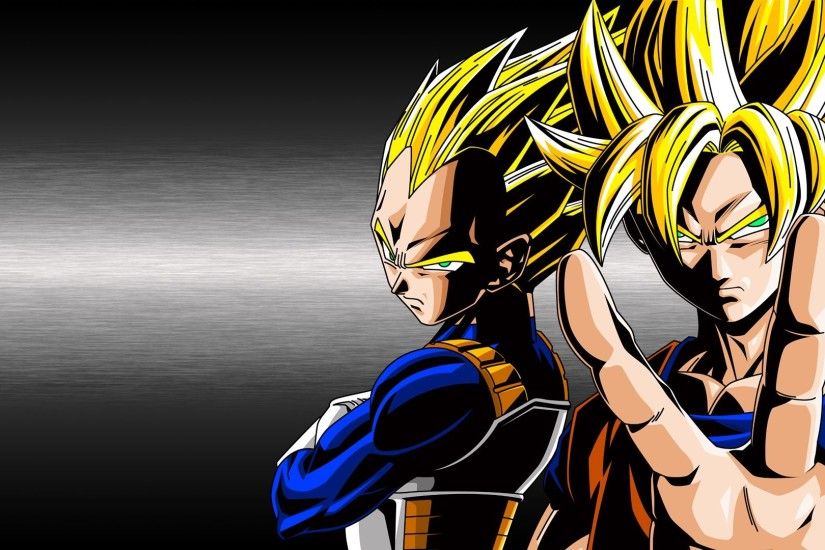 Goku and Vegeta Super Saiyan God Fusion - wallpaper.
