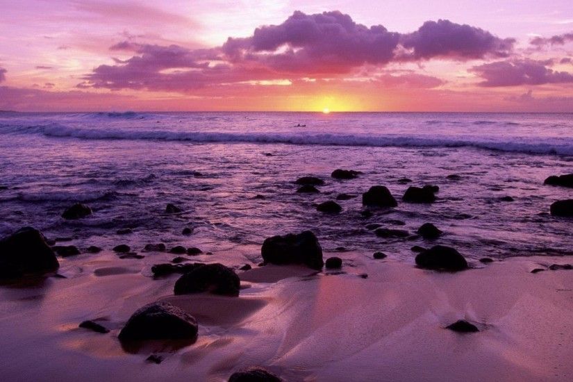 purple summer beach | Download wallpaper Palms at Sunset, Oahu .
