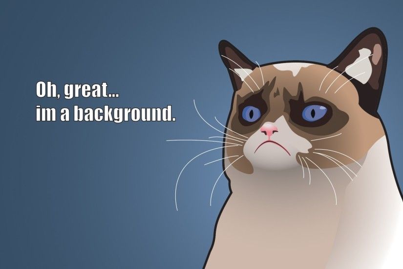 Grumpy Cat Cartoon Background HD Wallpaper