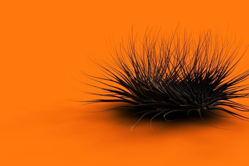 Orange Black Feathers Background