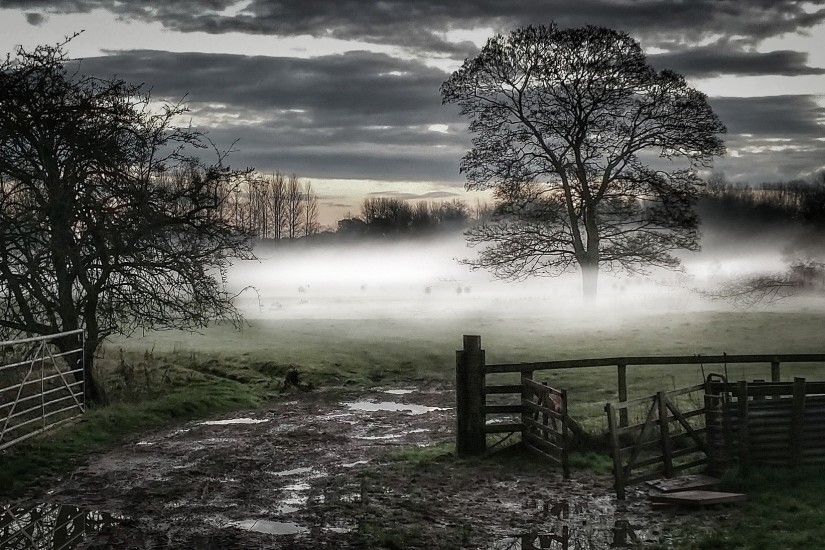 nature, Photography, Landscape, Mist, Morning, Fence, Gates, Trees, Field,  Rain, Dark, Clouds Wallpaper HD