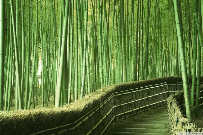 bamboo background 1920x1080 for mac