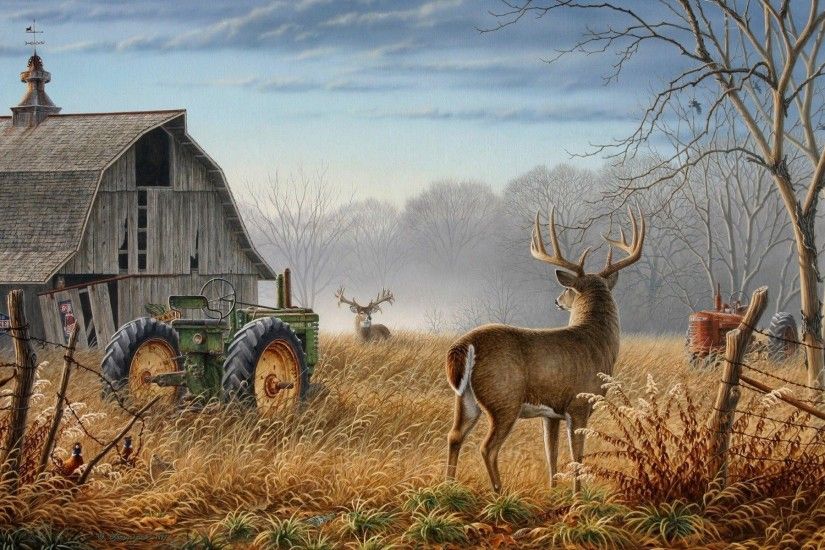 Whitetail Deer wallpaper - 760244
