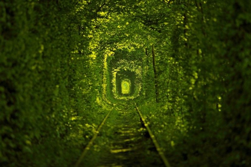 tunnel of love nature tram tracks ukraine