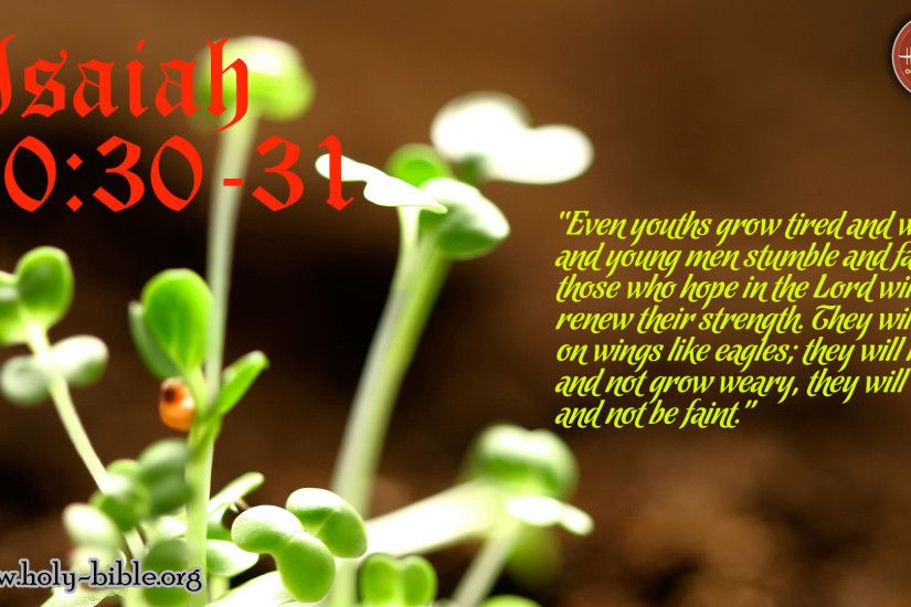 Bible Verse of the day – Isaiah 40:30-31