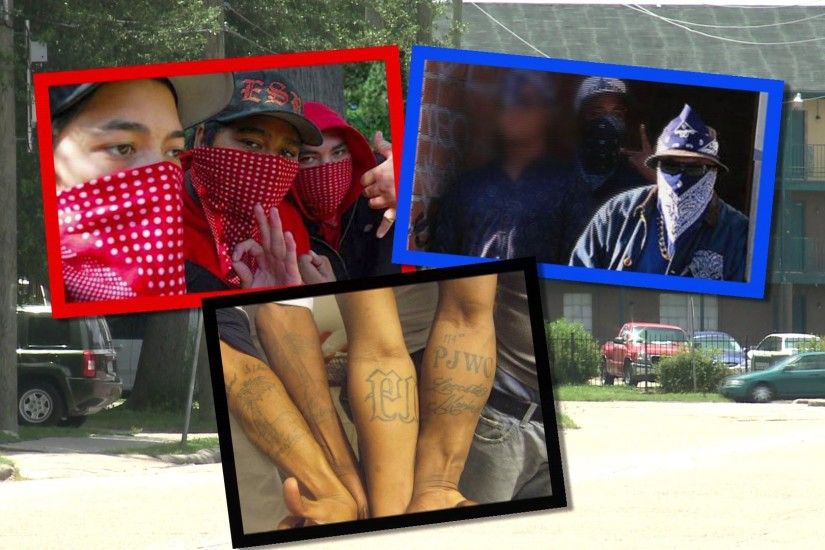 HOUSTON, TX – Bloods, Crips and creeps take notice. Harris county citizens  are fighting back.