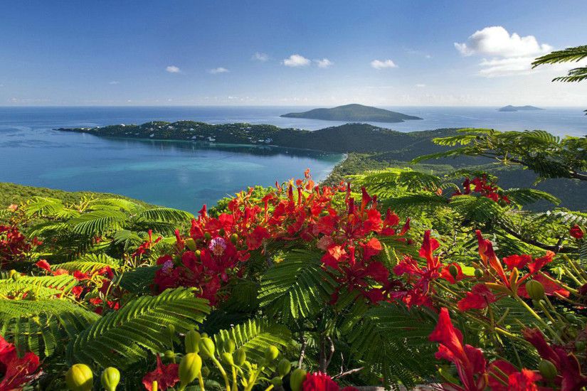 Caribbean-islands-beautiful-view-exotic-holiday-Wallpaper-Hd.jpeg  (2560Ã1440) | Ð·Ð°ÑÑÐ°Ð²ÐºÐ¸ | Pinterest | Caribbean