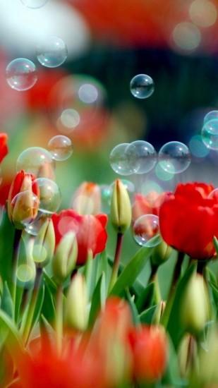 tulips and bubbles wallpapers for samsung galaxy a7