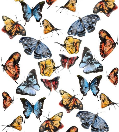Butterflies on White Wallpaper Roll