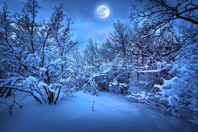 Snowy Christmas Night Wallpaper : Merry christmas new year magic winter  snow f wallpaper