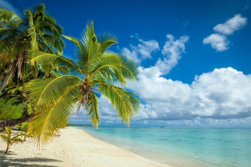 nature, Landscape, Tropical, Island, Beach, Palm Trees, White, Sand, Sea,  Summer, Clouds Wallpapers HD / Desktop and Mobile Backgrounds