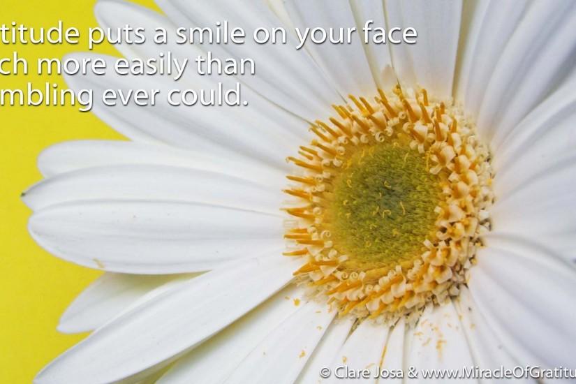 Putting A Smile On Your Face: Download This Week's Gratitude Screen Saver /  Desktop / Wallpaper Image!