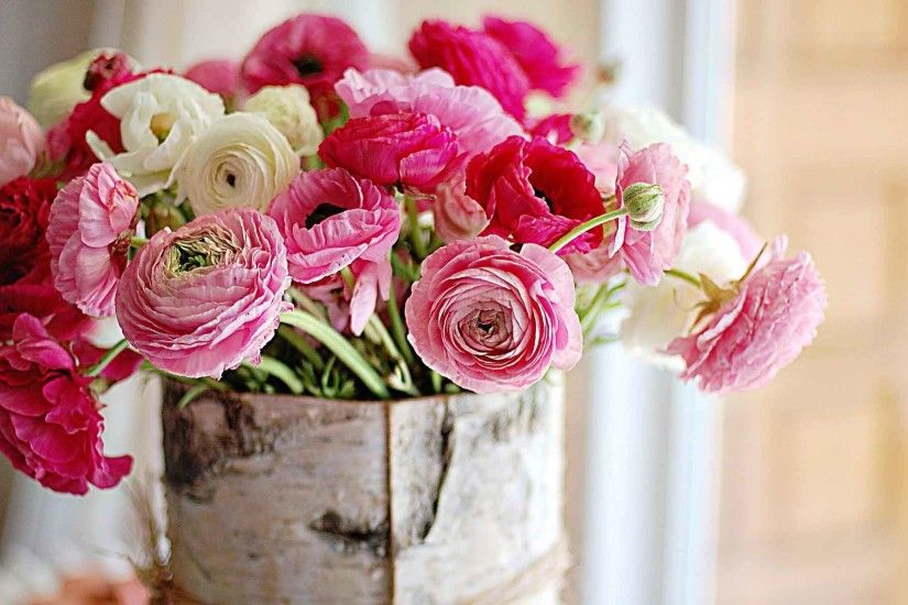 Flowers Soft Nature Bokeh Holidays Valentine Vase Bouquets Window Still  Bowl Macro Life Color Pink Background Pictures