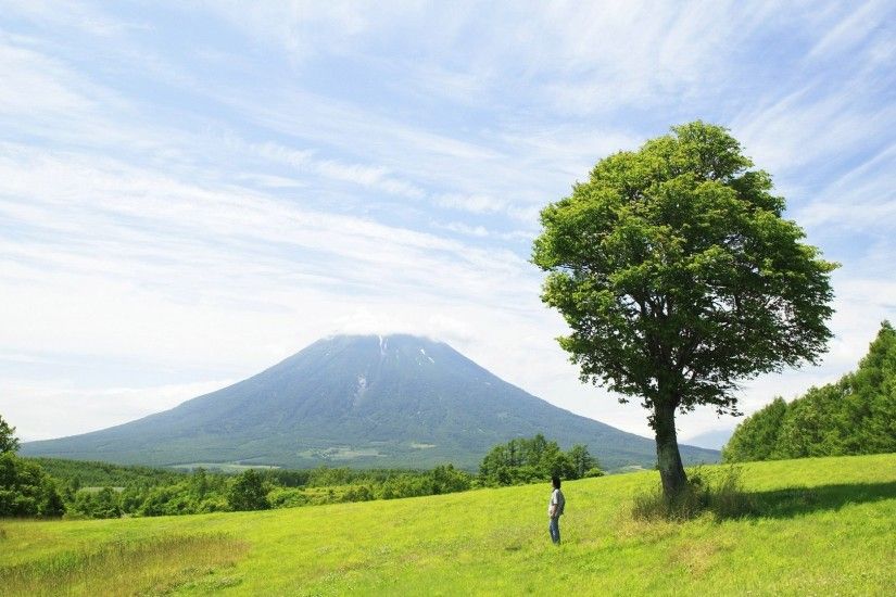 1920x1080 Wallpaper tree, mountain, person, fujiyama, volcano, field