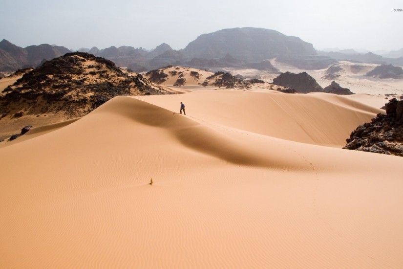 Man walking on the sand dune wallpaper