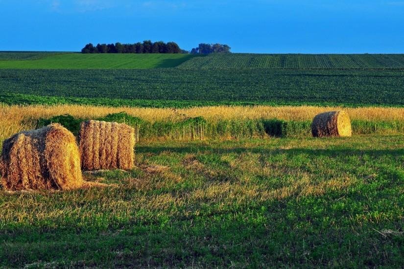 download farm background 2560x1600 cell phone