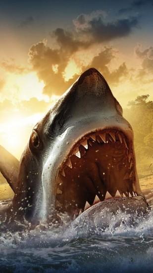 free shark wallpaper 1080x1920 screen