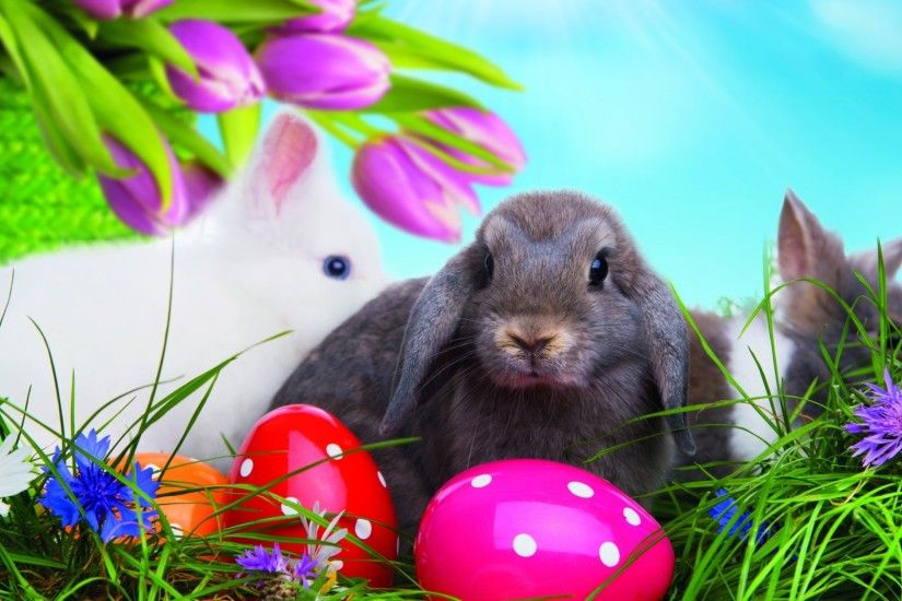 3840x2160 Wallpaper easter, eggs, colorful, rabbits, grass