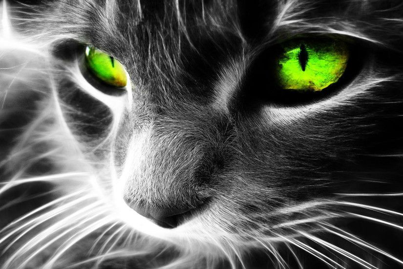 Beautiful 3D Cat Abstract Desktop Background