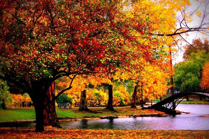 Autumn River HD Wallpaper | PixelsTalk.Net