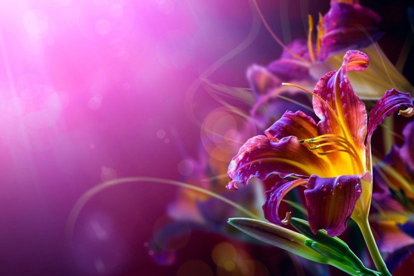 Abstract Flower Backgrounds.