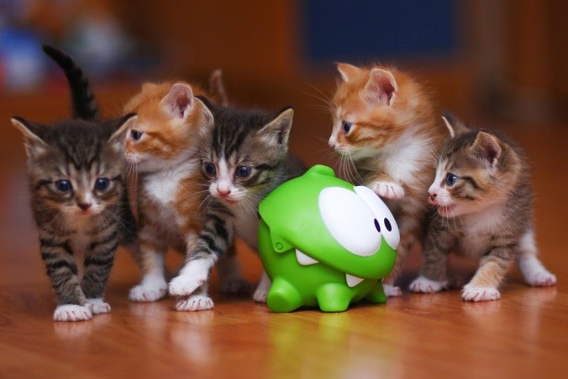 Cute kittens wallpaper