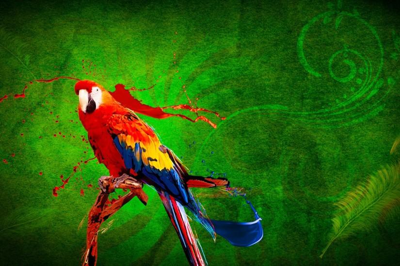 parrot hd 1080p desktop wallpaper 0012