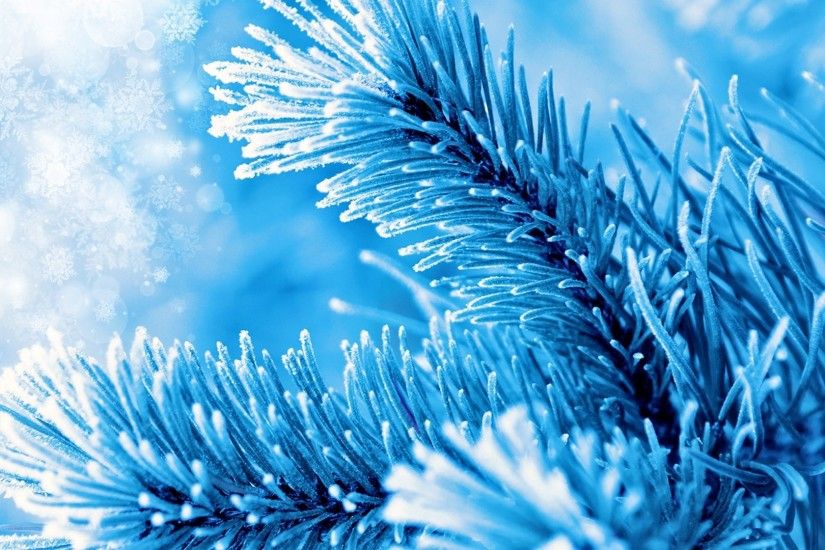 Spruce Christmas Pine Fir Blue Sparkle Winter Snow Hd Cover Photos