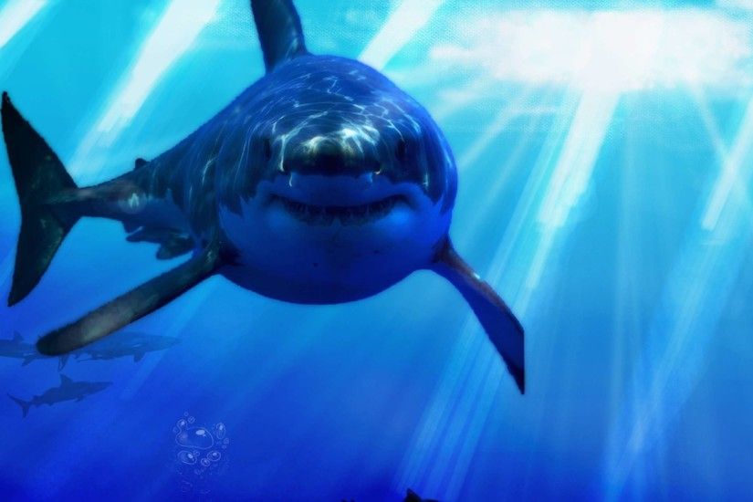 Great White Shark Wallpaper HD Widescreen | HD Wallpapers Source