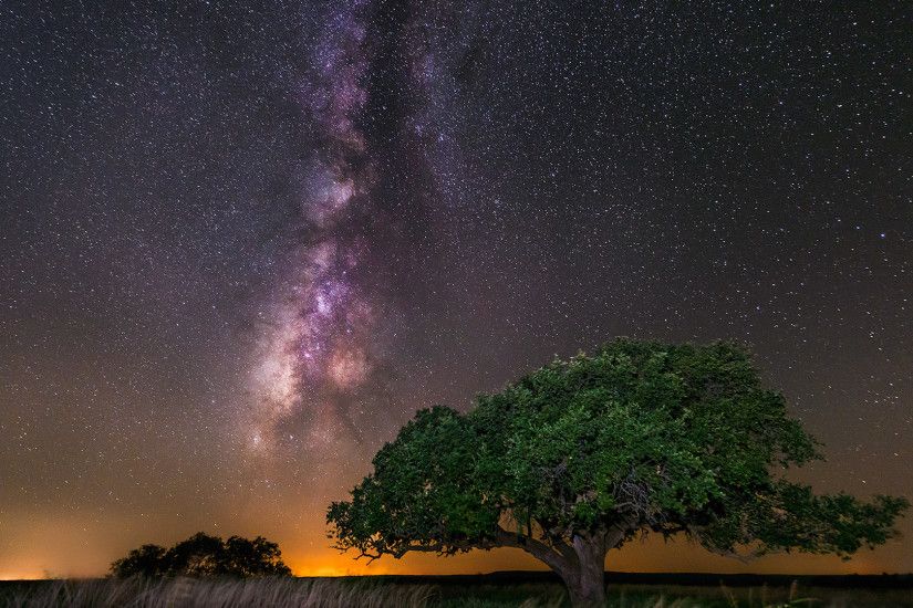 Tree Milky Night Stars Galaxy Way Wallpaper Nature Beauty Full Size Detail
