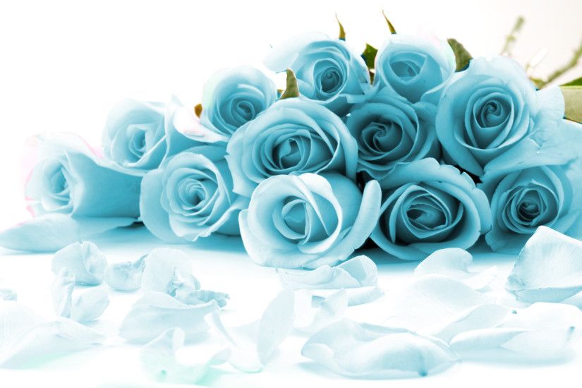 Black And White Blue Rose