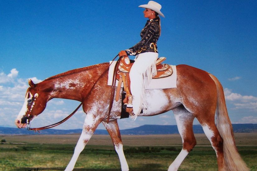 APHA Barrel Racing | Discuss Barrel racing...seat position. at the  Equestrian