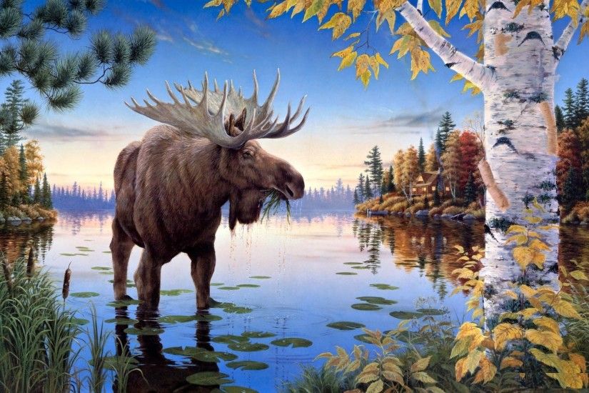 Free Moose Wallpaper
