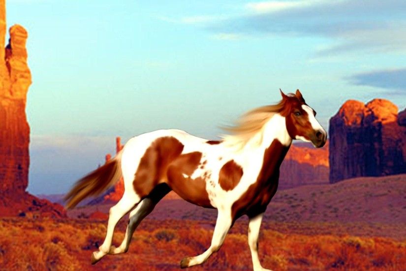 Wallpapers For > Paint Horse Wallpaper