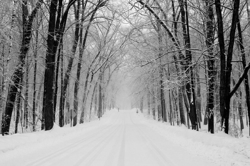 1920x1080 Wallpaper avenue, trees, winter, snow, road